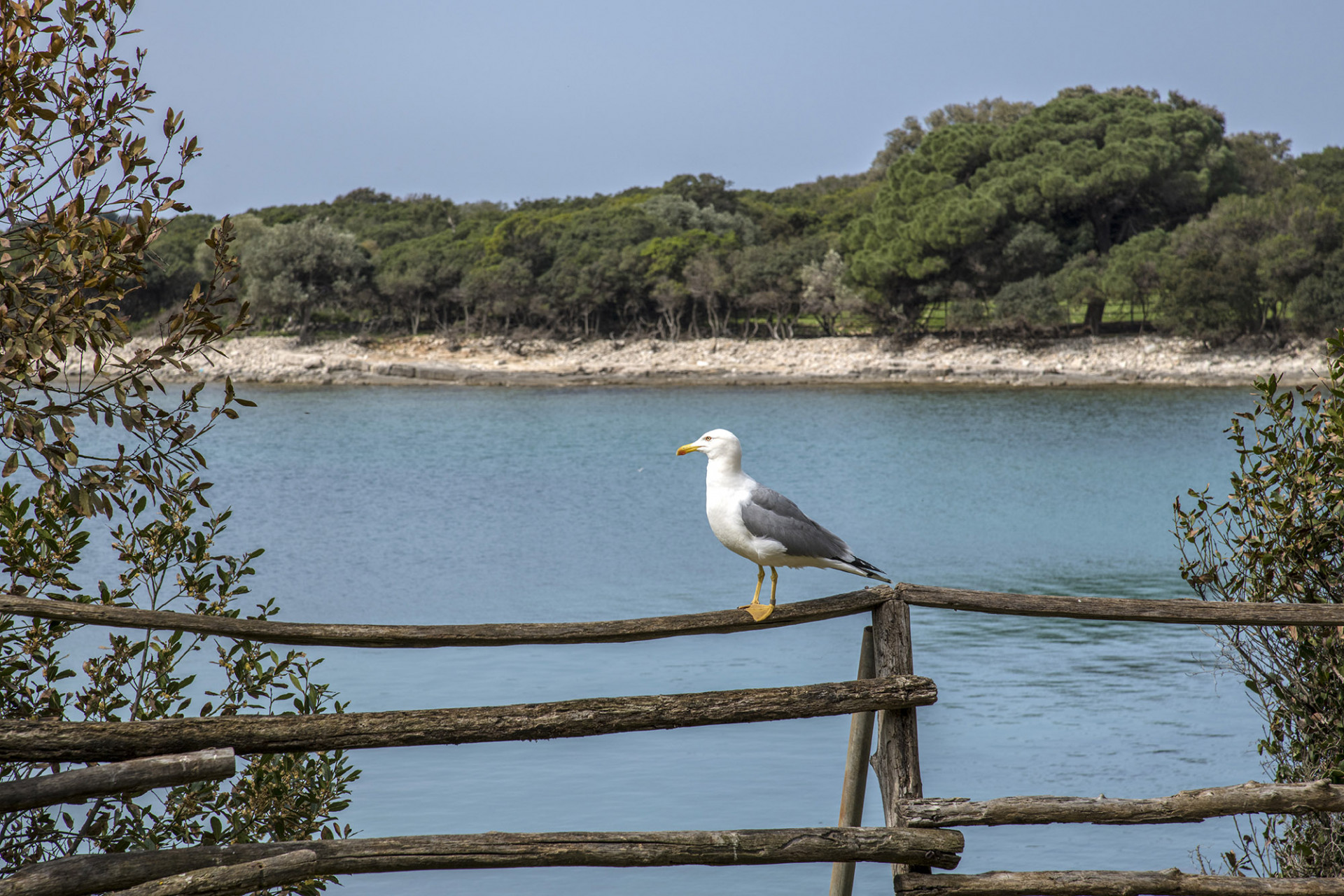 sea and summer