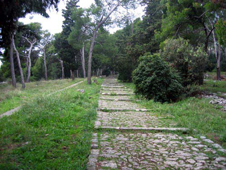 top 3 things split: Marjan Forest Park
