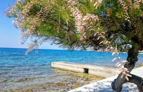 Diklo beach (The Best Beaches in Zadar)