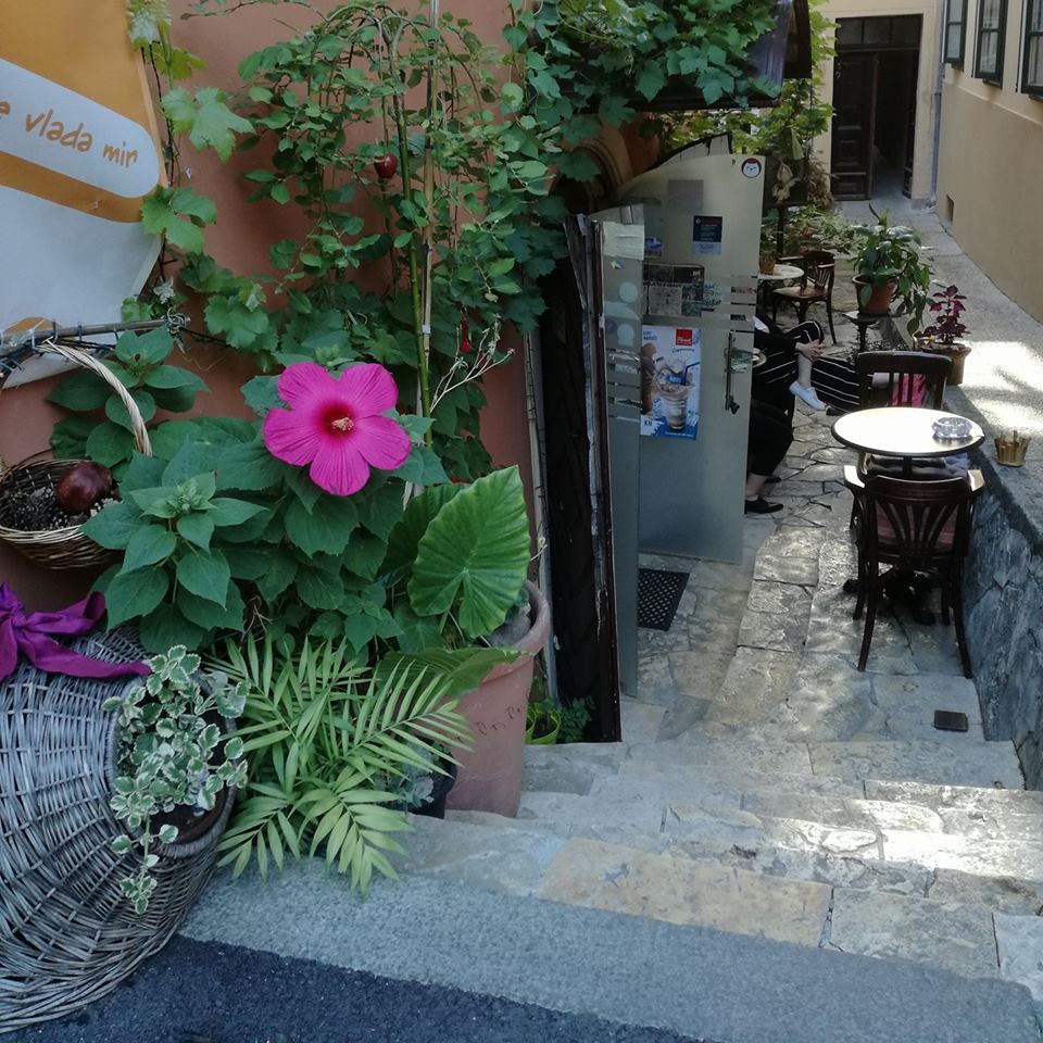 Caffe bar Domus Zagreb
