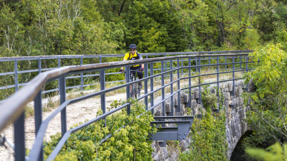 Bike tours Istria