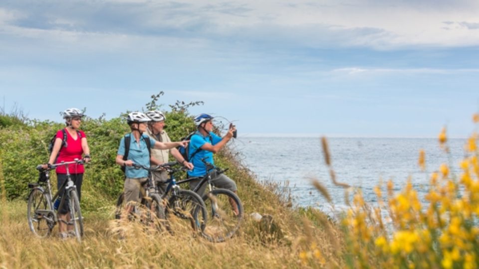 Bike tours Istria