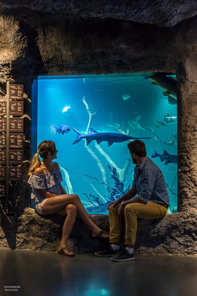 Aquatika Aquarium