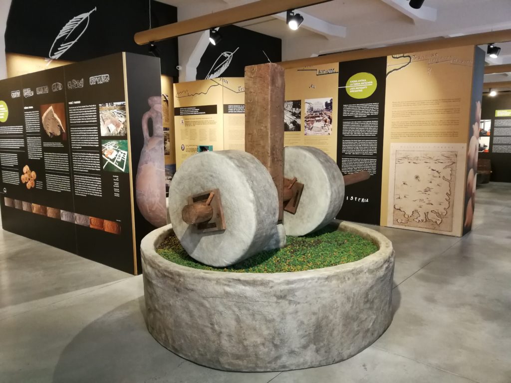 Museum of Olive Oil