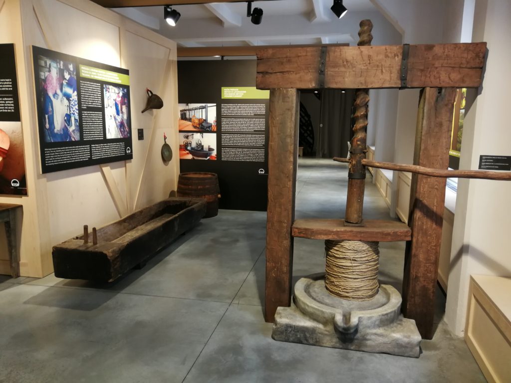 Museum of Olive Oil