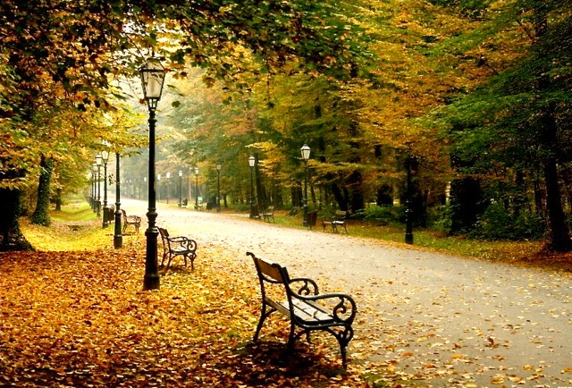 Maksimir Park Tour: Explore the landmarks of Zagreb oldest park