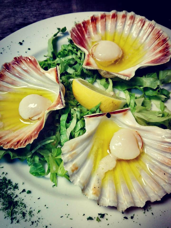 Kapešante (Capesante, Jakobove Kapice, Scallops)