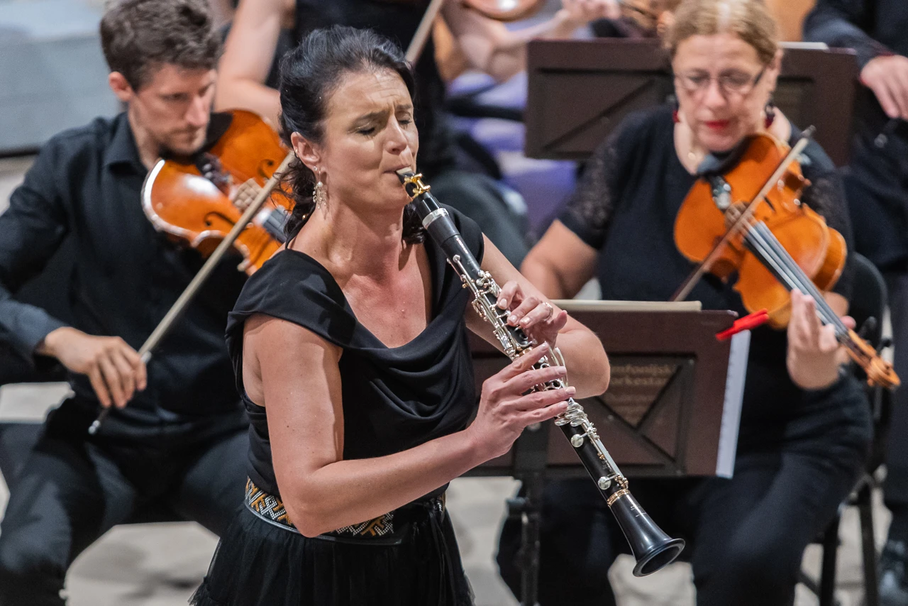 Dubrovnik Symphony Orchestra