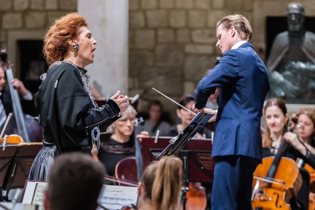 Dubrovnik Symphony Orchestra