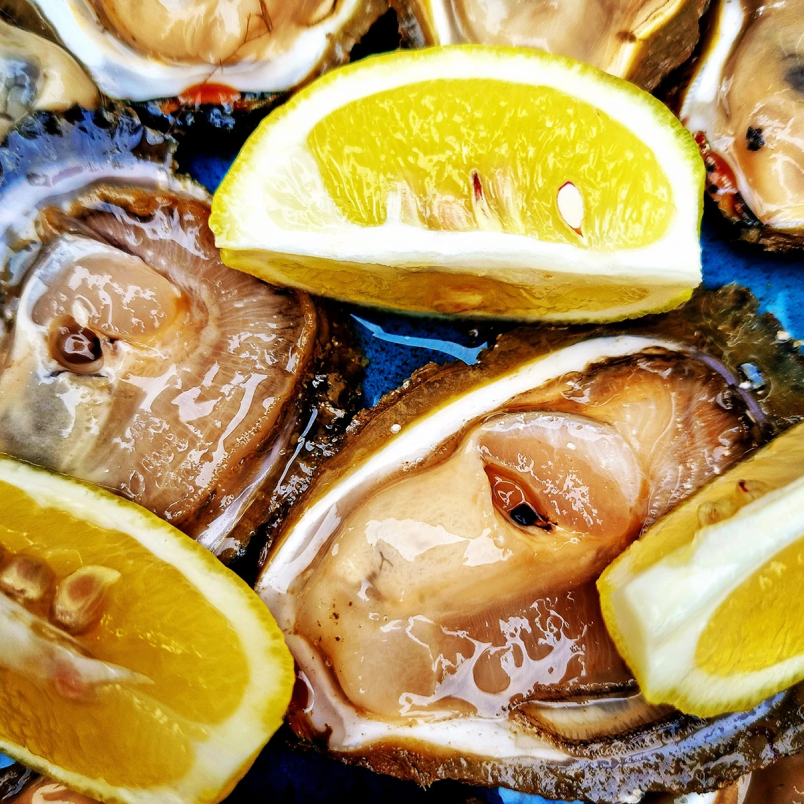 Edulis Oyster Bar