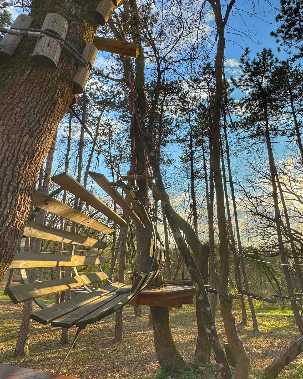 Adrenalin Park Kringa: Family Adventure in Istria