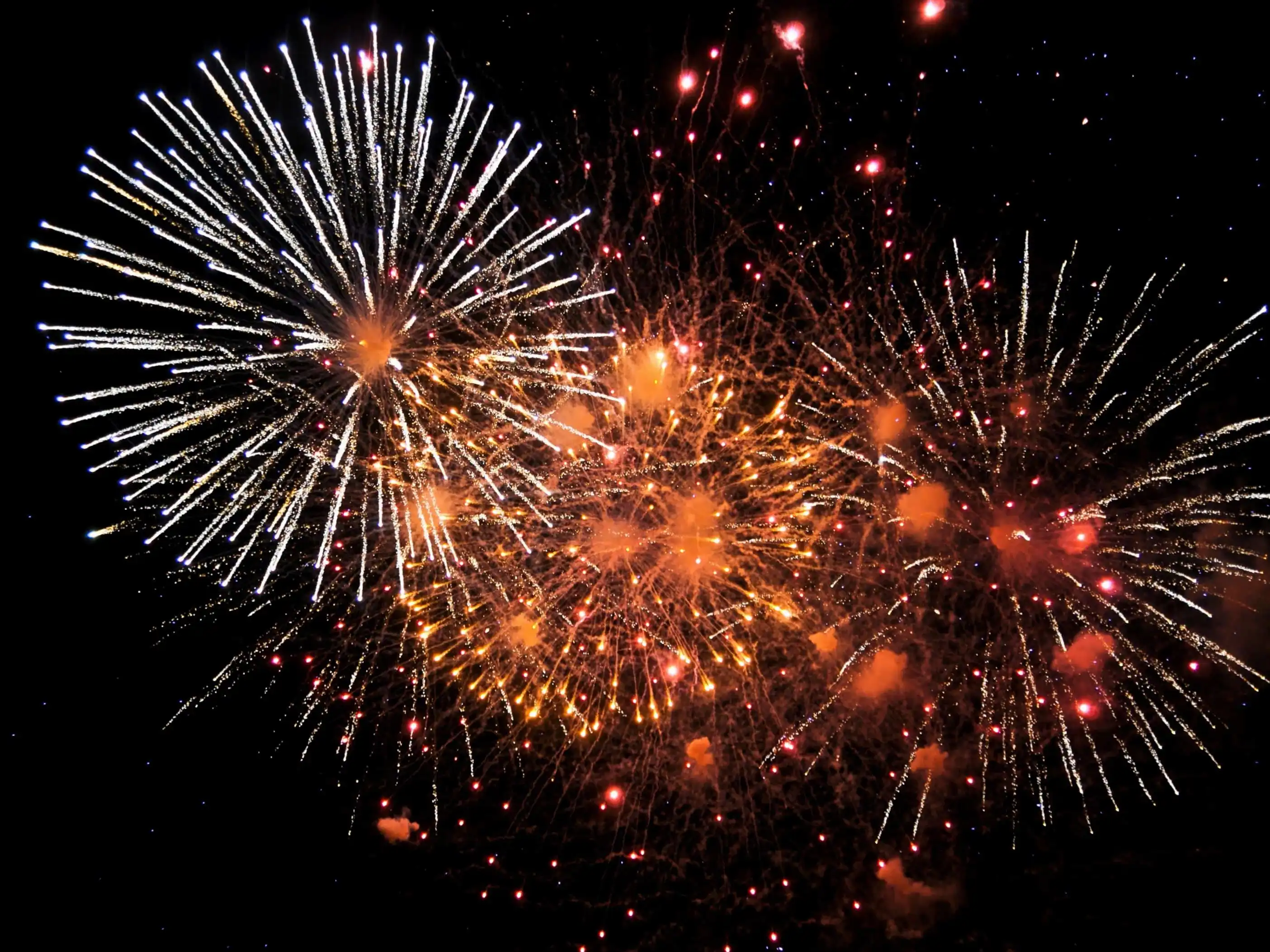 Where To Spend New Year’s Eve 2026 in Zadar & Zadar County